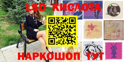 шишки Краснодар