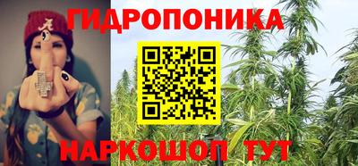 бошки Краснознаменск