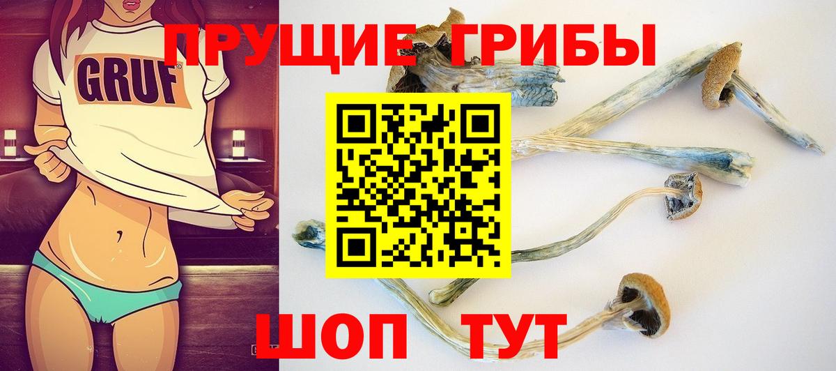 Галлюциногенные грибы Magic Shrooms Ковров
