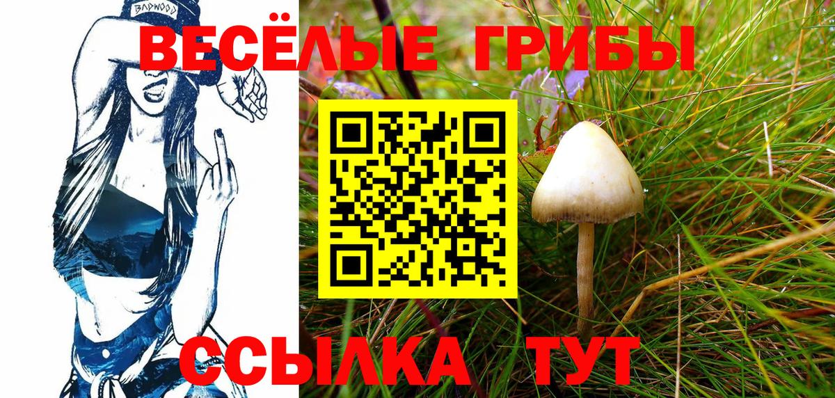 Ковров  Галлюциногенные грибы мицелий  Вход с VPN 